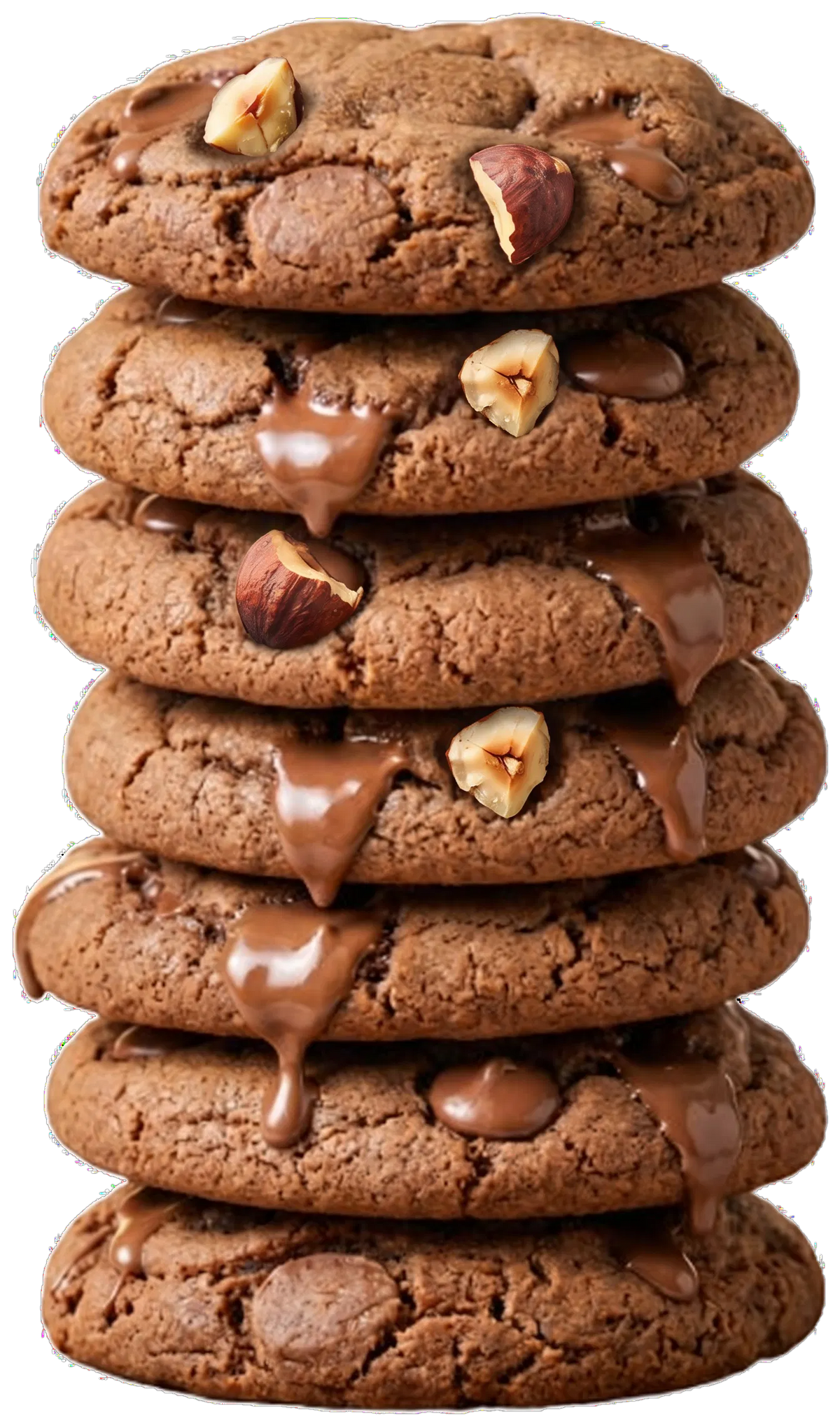 Nut Job — Milk Chocolate Hazelnut Cookie